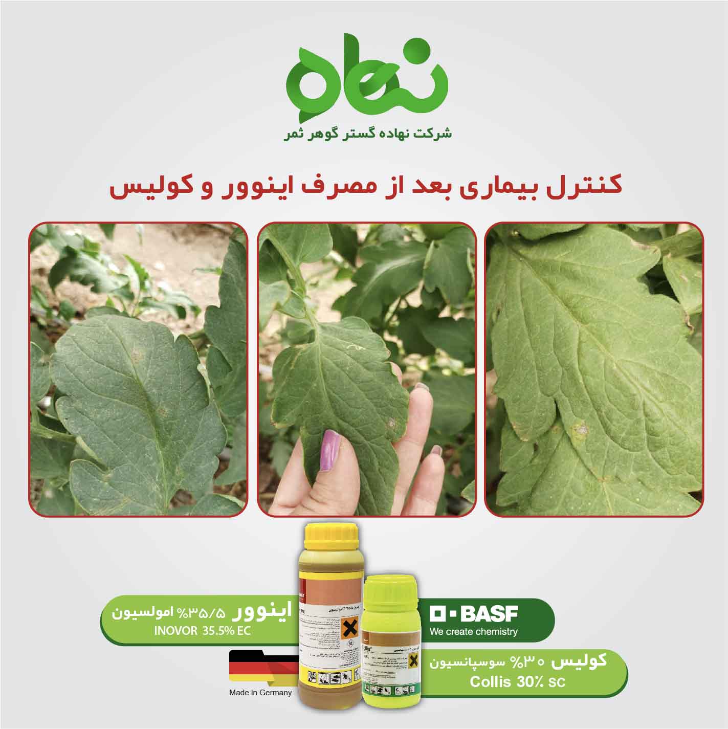 Customer satisfaction from Inovor and Collis